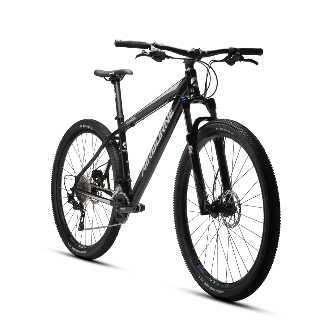 Airborne Guardian 29 Mountain Bike 2019