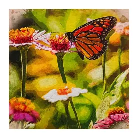 ECC "Monarch on Colorful Cosmos" Framed Canvas Print