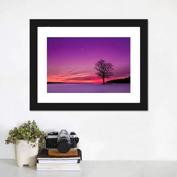 Idyllic Sunset In Field Canvas Wall Art