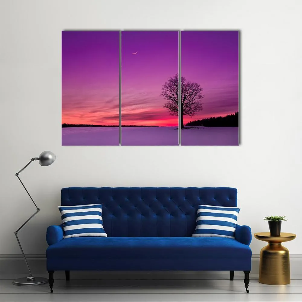 Idyllic Sunset In Field Canvas Wall Art