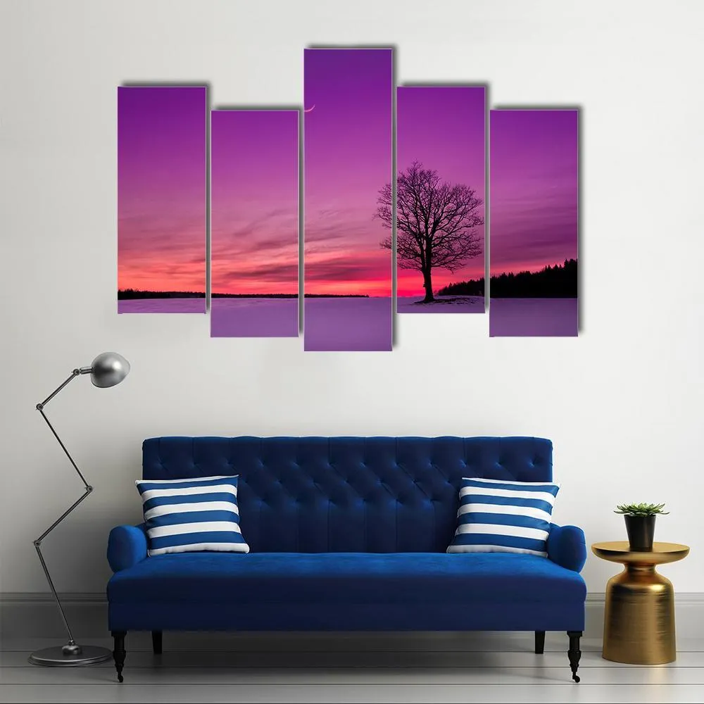 Idyllic Sunset In Field Canvas Wall Art