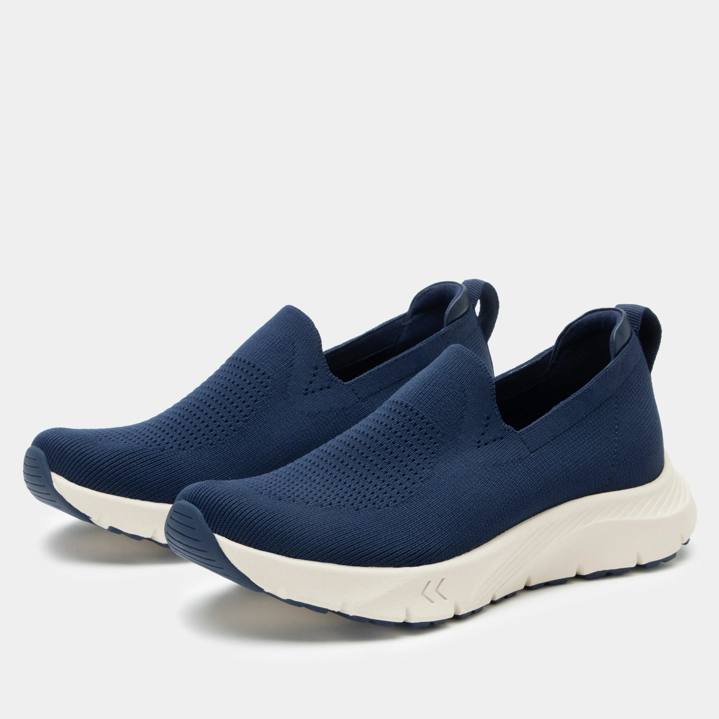 Waze Navy Shoe